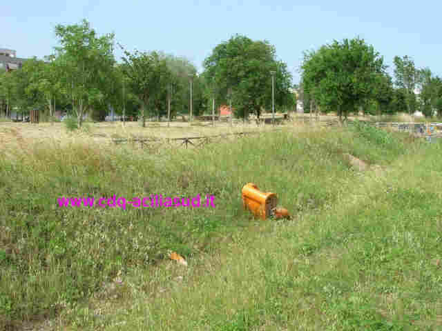 Foto_13